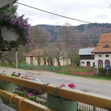 Casa Madame Coco Villa Piatra  Exterior photo