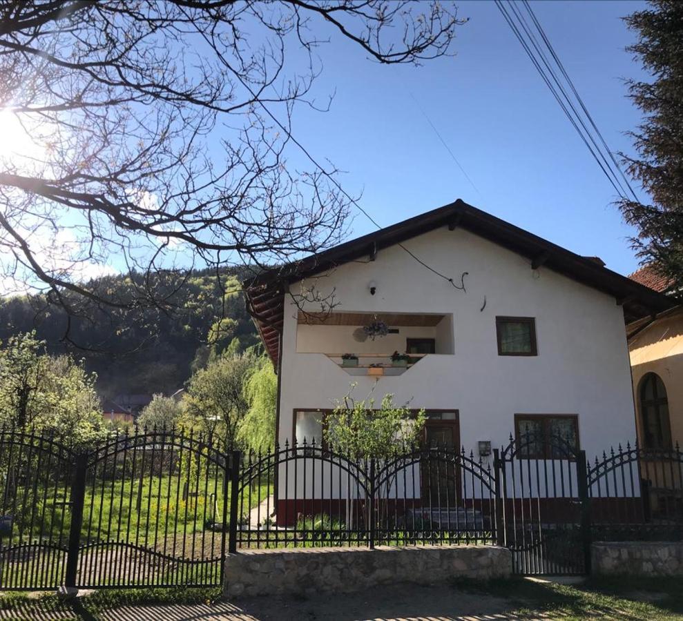 Casa Madame Coco Villa Piatra  Exterior photo