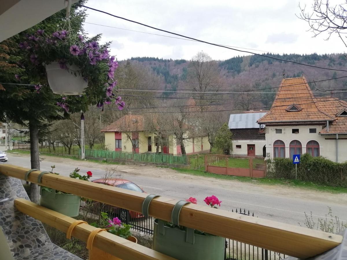 Casa Madame Coco Villa Piatra  Exterior photo